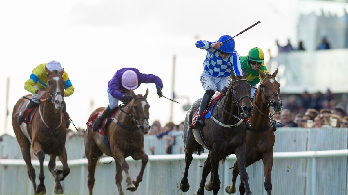 King Alexander delivers Galway Plate glory for Team Closutton