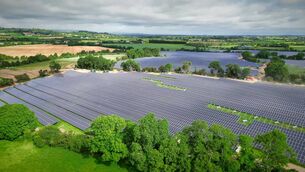 <p>The Orsted solar farm at Garranleen Co Carlow in June 2025.</p> <p>The Orsted solar farm at Garranleen Co Carlow in June 2025.</p>
