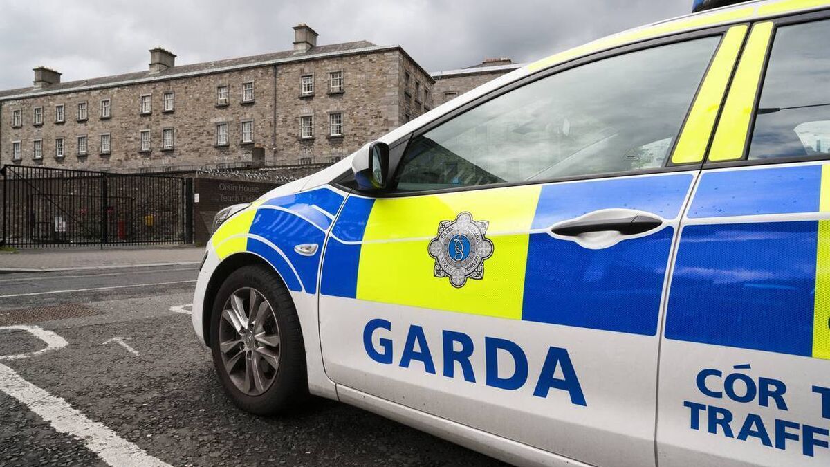 Man arrested following burglary of business on Kilkenny Road