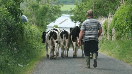 New study reveals hidden mental health toll on farm families