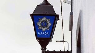 Funeral of Brenda Fricker held in Dublin area ‘where she was happiest’