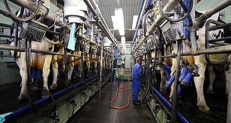 Glanbia hikes profit forecast as weight-loss drugs boost demand for protein products