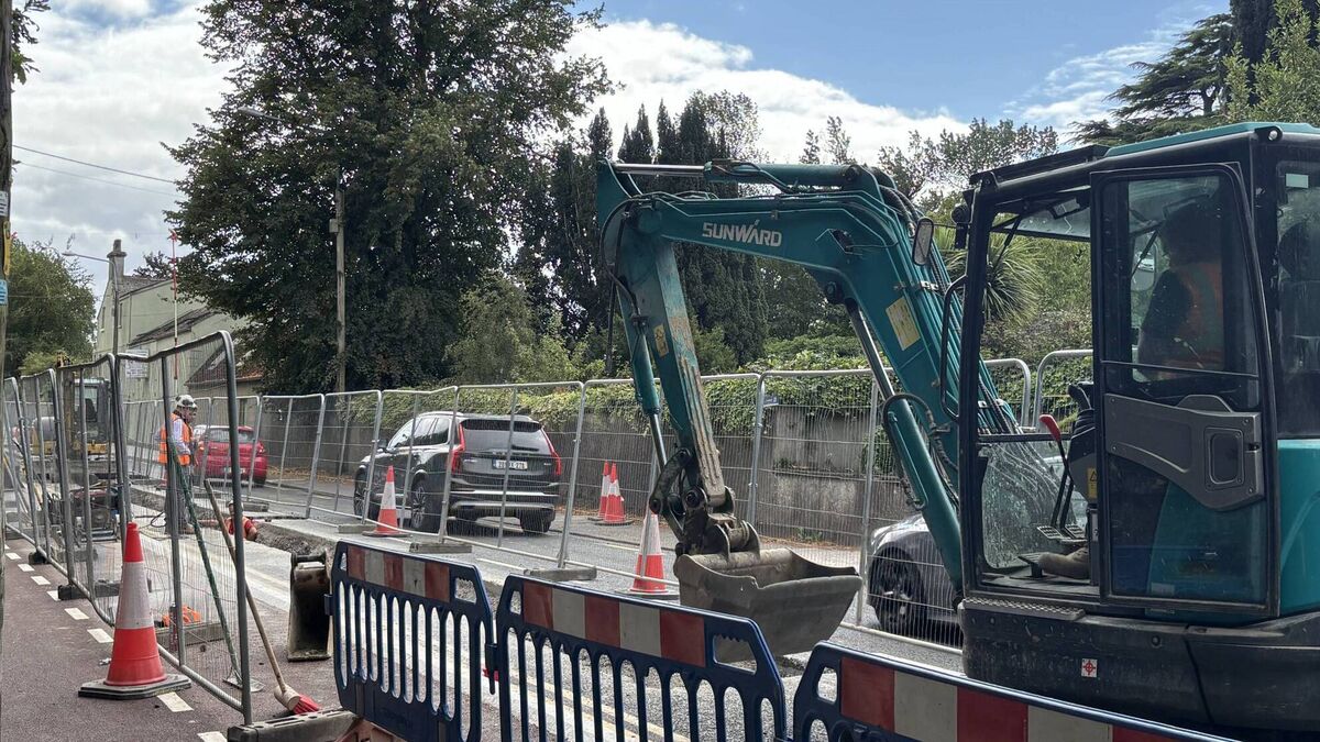 Water works causing traffic delays on Kilkenny road in Carlow