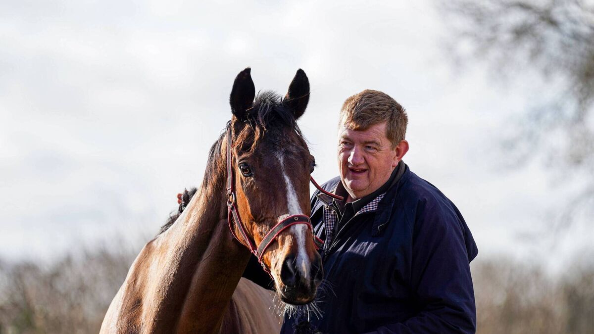 Time to say goodbye to the horse of a lifetime