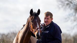 <p>John 'Shark' Hanlon is welcoming all to his yard on Saturday to celebrate the career of Hewick Photo: RVN Mangement/The Jockey Club </p> <p>John 'Shark' Hanlon is welcoming all to his yard on Saturday to celebrate the career of Hewick Photo: RVN Mangement/The Jockey Club </p>