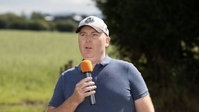 Lamb showcase in Fenagh tomorrow 
