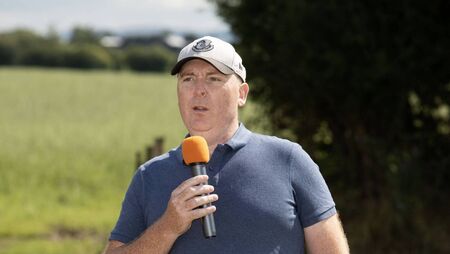 Lamb showcase in Fenagh tomorrow 