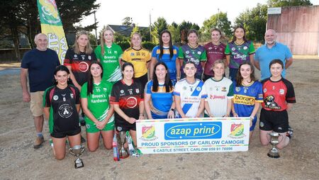 Bumper Senior Camogie Championship to start this week