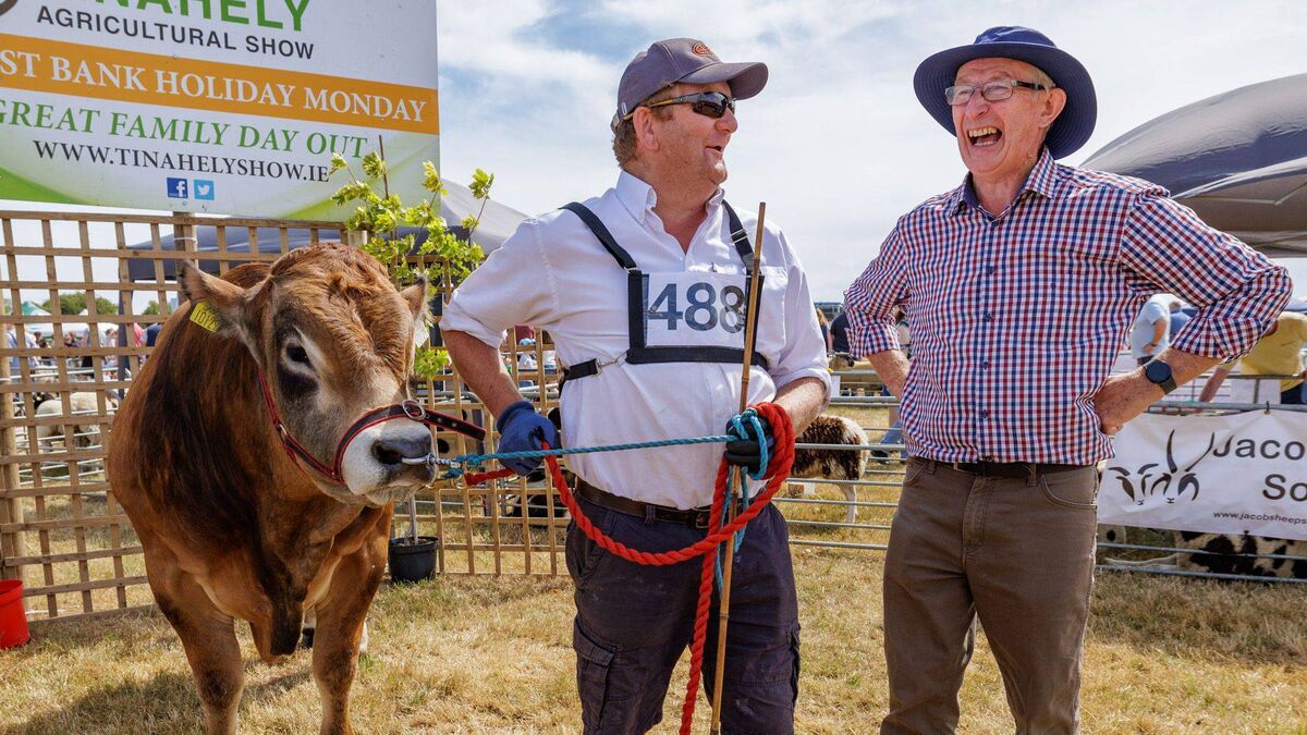 Glorious sunshine brought a record crowd to the Tinahely Show