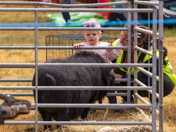 Kathy Donegan introduces her daughter Meabh to a pot-bellied pig 