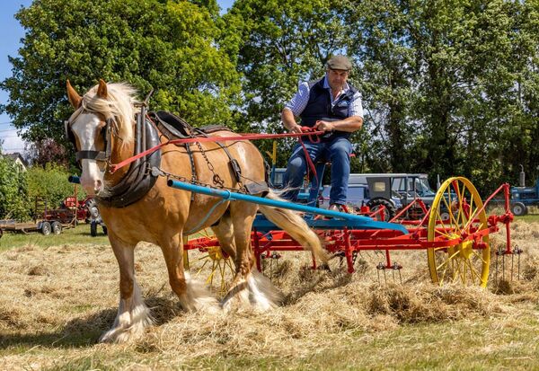 Trevor Kelly with his horse Paddy turning the hay during the South Eastern Vintage Machinery Club Annual Vintage Rally in Ardattin