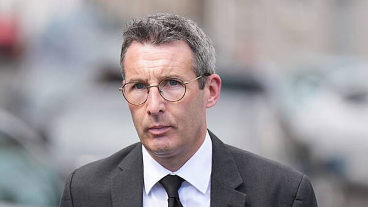 North's agriculture minister announces review into shooting of 51 cows