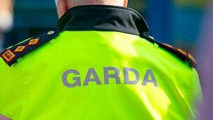 Two men arrested, and numerous vehicles set on fire in Tallaght Two men arrested, and numerous vehicles set on fire in Tallaght