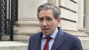 Cuts to support for Ukrainian arrivals agreed Cuts to support for Ukrainian arrivals agreed