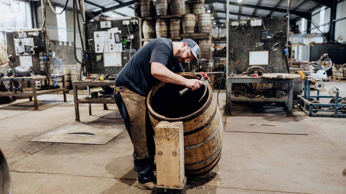 Local coopers turn 1,000-year-old Irish oak tree into rare whiskey casks