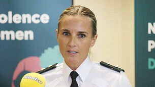 Government warned not to ignore McGregor's 'far-right American messaging'