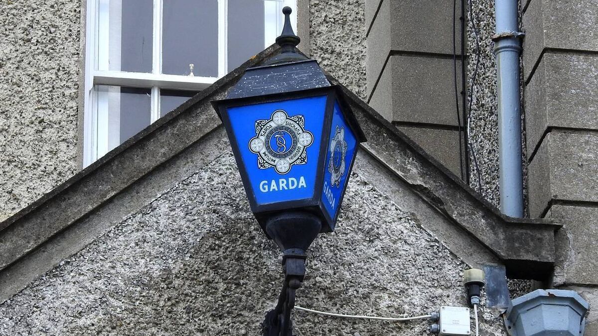 Home on Tullow Road broken into during daytime