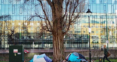 Mould and pest infections found in inspections of emergency accommodation for homeless people