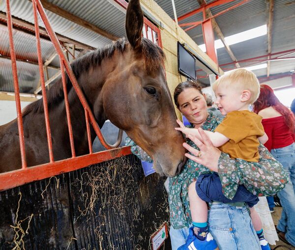 Catherine Duggan and her son Mikey meets Raring is Tearing, a brother of Hewick Catherine Duggan and her son Mikey meets Raring is Tearing, a brother of Hewick