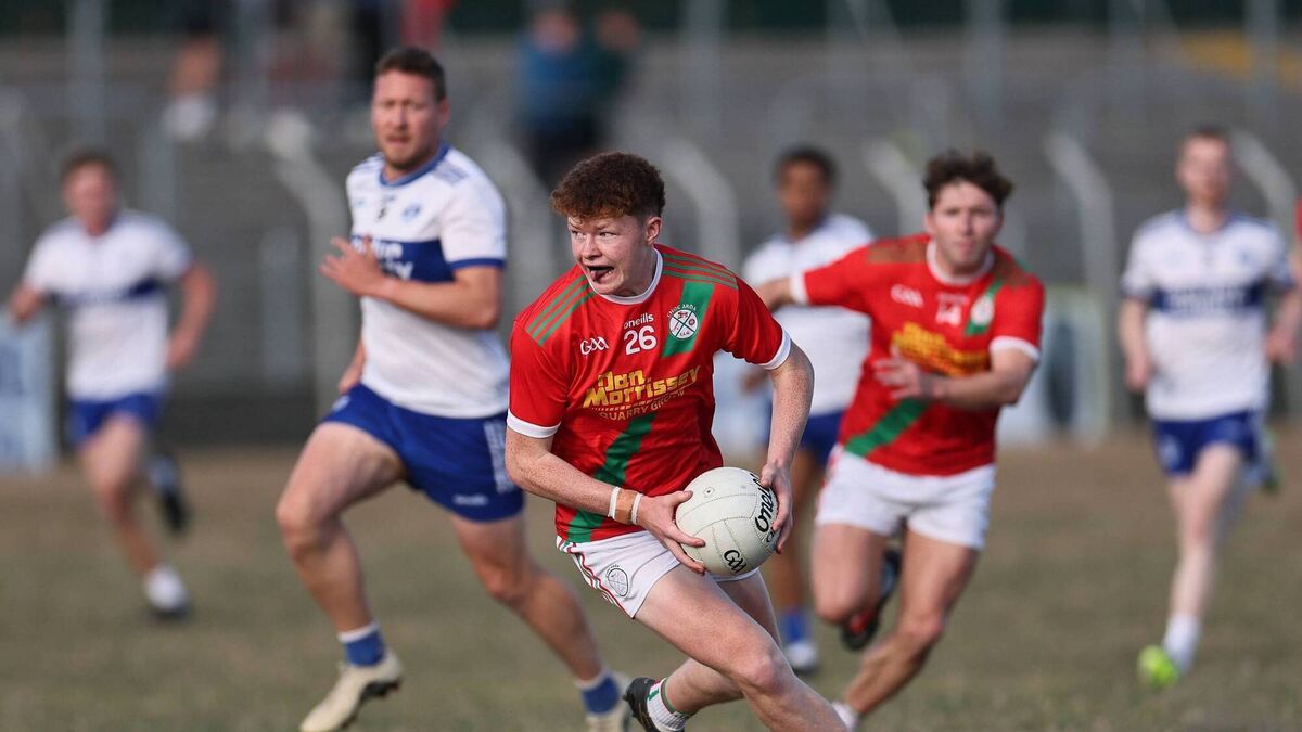 Palatine remain in hunt for semi-final spot
