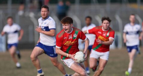 Palatine remain in hunt for semi-final spot