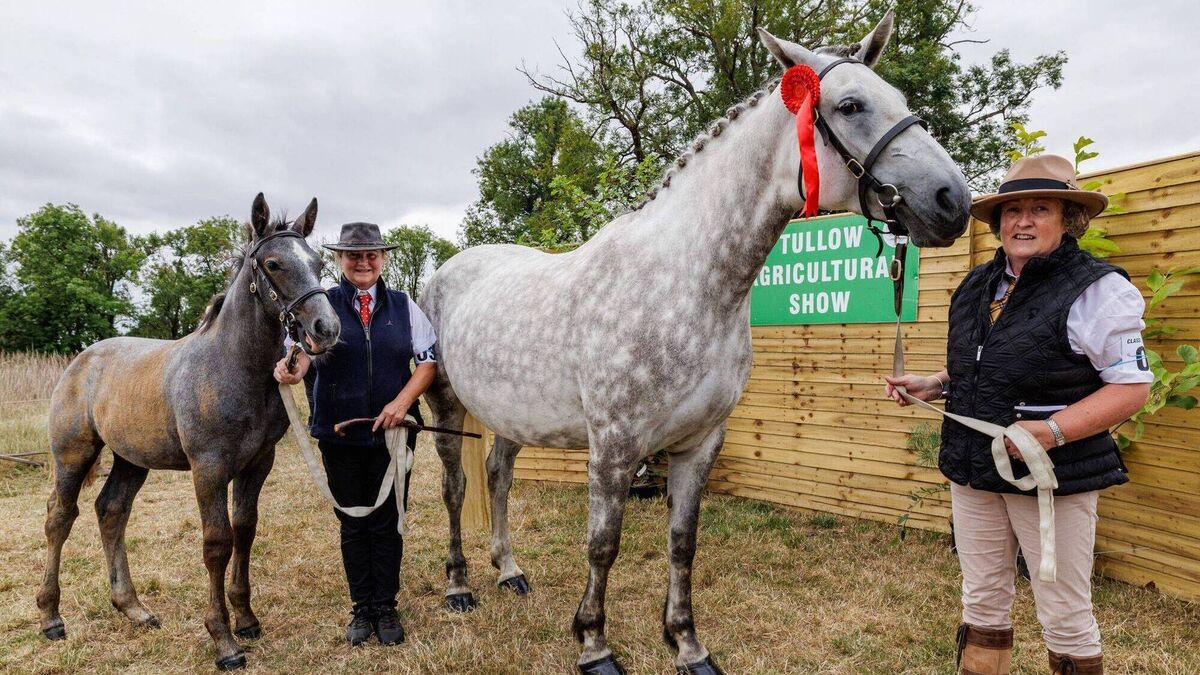 Thousands attend 80th Tullow show