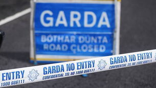 Woman (20s) dies in single-vehicle crash in Dublin Woman (20s) dies in single-vehicle crash in Dublin