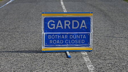 Woman (20s) dies in single-vehicle crash in Dublin