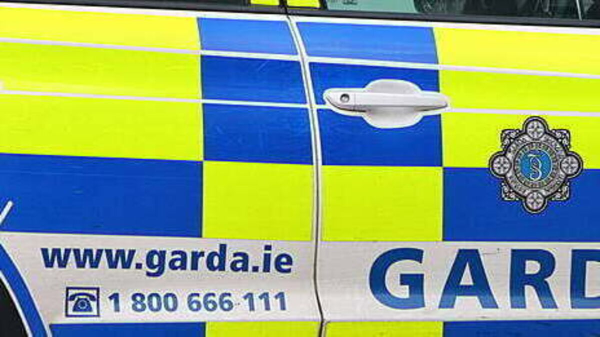 Woman in critical condition after two-car collision in Co Limerick