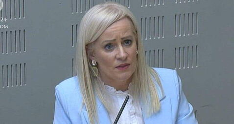 Fianna Fáil minister ‘categorically’ disagrees with Burnham on unity poll
