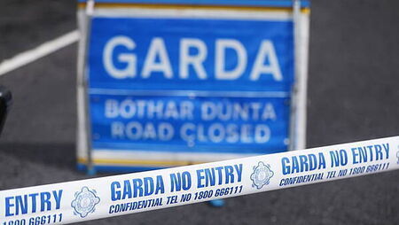 Man (40s) dies after being struck by van in Co Sligo