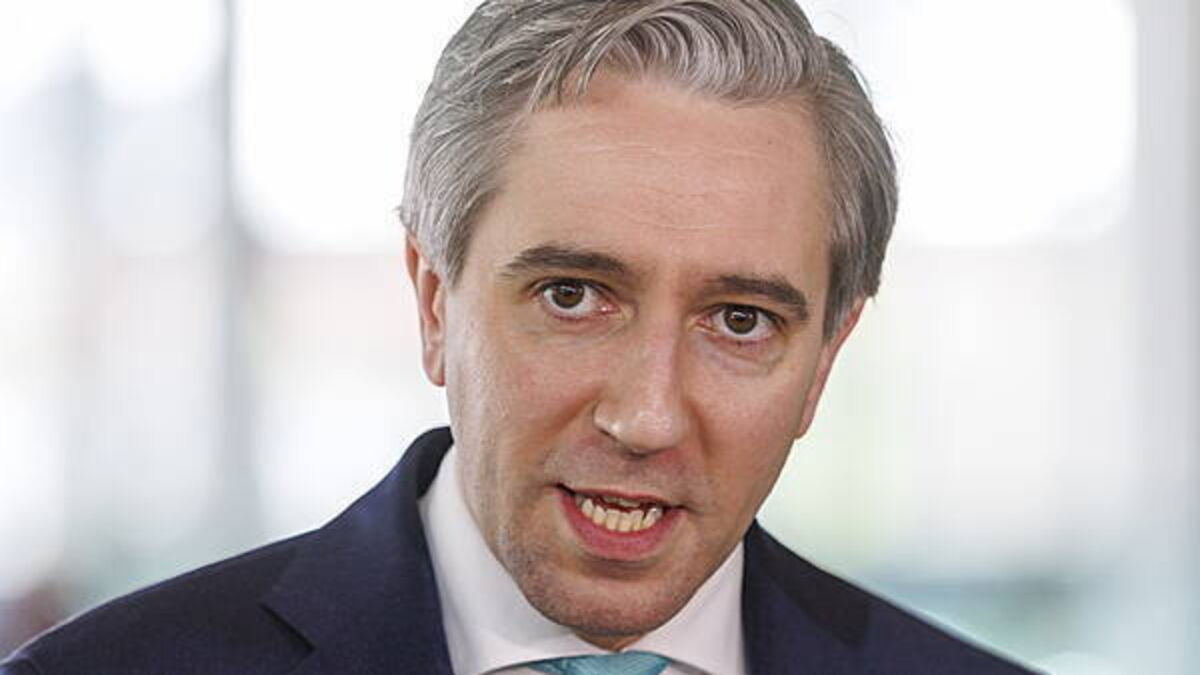 Tánaiste to represent EU at G20 finance ministers meeting in US
