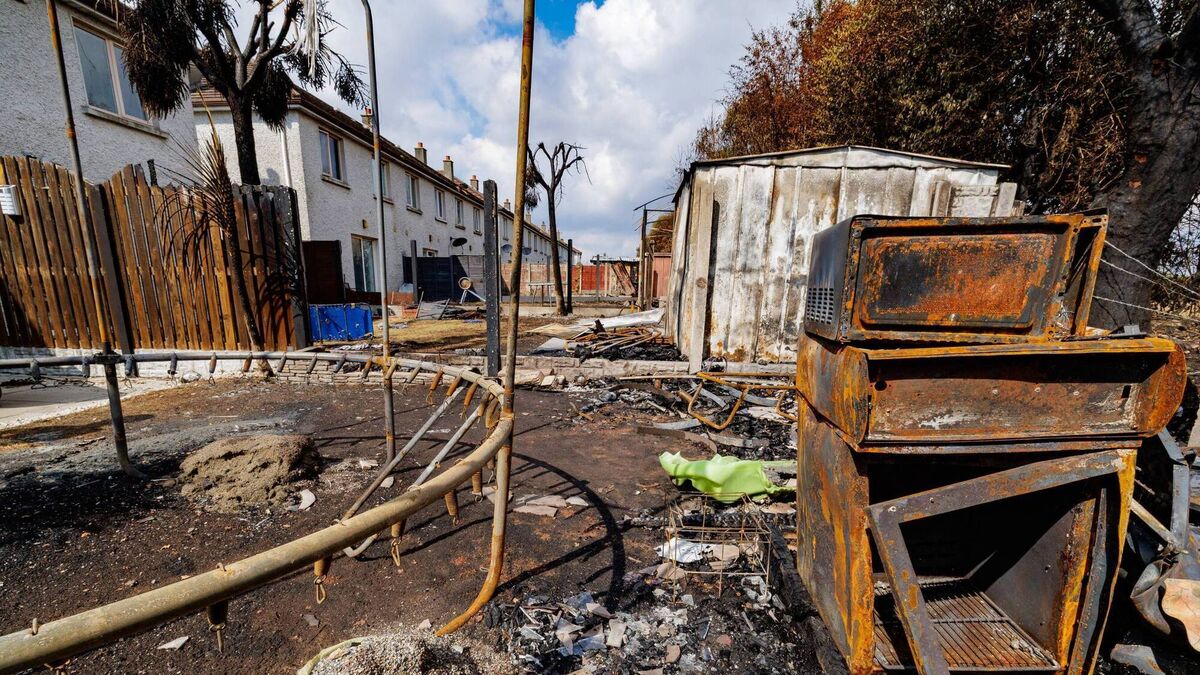 16 gardens in Carlow town destroyed by ‘devastating’ fire