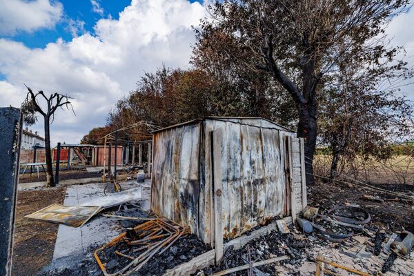Pic: © Michael O'Rourke Photography 2026