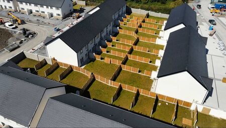 All houses at Foran’s Way to be allocated to council tenants 