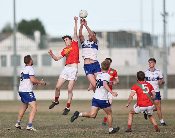 Palatine and Grange will be reaching the semi-finals when they meet in the Michael Lyng Motors Senior Football Championship quarter-final this weekend Photo: Pat Ahern Palatine and Grange will be reaching the semi-finals when they meet in the Michael Lyng Motors Senior Football Championship quarter-final this weekend Photo: Pat Ahern