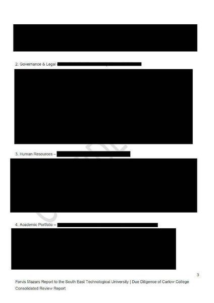 Page after page of the Forvis Mazars due diligence report were blacked out Page after page of the Forvis Mazars due diligence report were blacked out