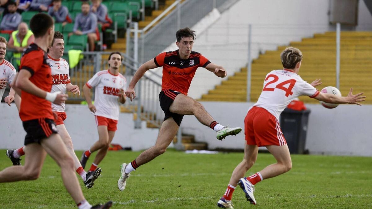 Second-half surge sends Kildavin-Clonegal into Intermediate semi-finals
