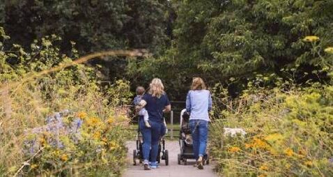 Council allocated €13m for regeneration projects 