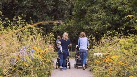 Council allocated €13m for regeneration projects 