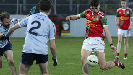Palatine need extra time to see off Asca