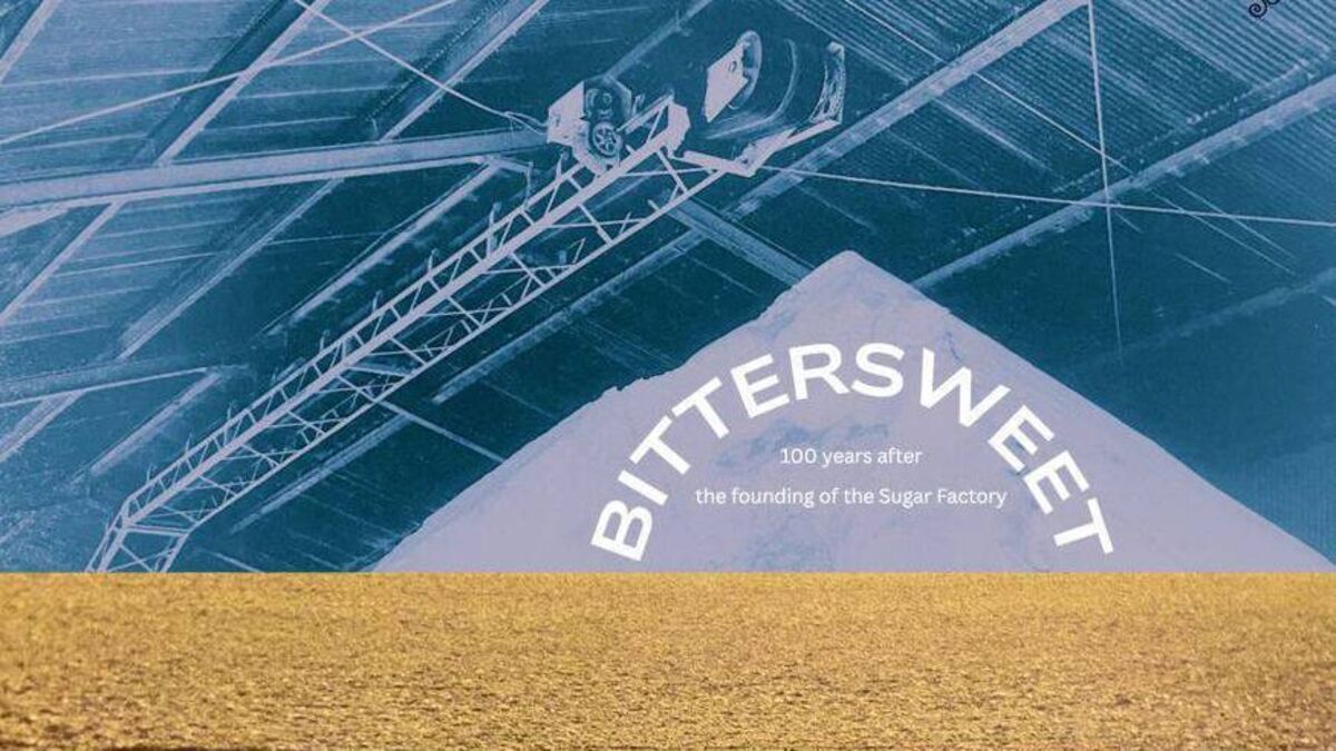 ‘Bittersweet’ podcast on sugar factory to launch on Carlow Culture Night