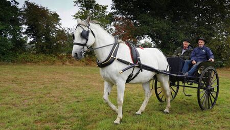 Four-legged horse power raises funds for Carlow charity 