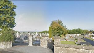 <p>Our Lady of the Assumption cemetery in Bagenalstown. Google Street View, September 2019</p> <p>Our Lady of the Assumption cemetery in Bagenalstown. Google Street View, September 2019</p>