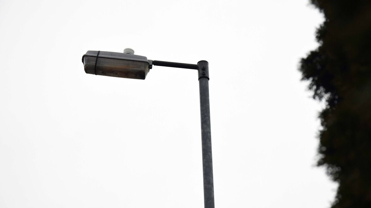 Council staff ‘driven insane’ dealing with the ESB