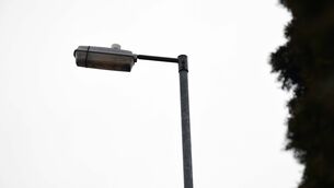 <p>Stock photo. Picture Denis Minihane.</p> <p>Stock photo. Picture Denis Minihane.</p>