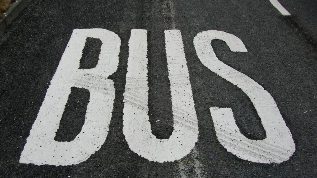 Calls to restore Ballinkillen bus stop as residents face mile-long walk