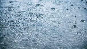 <p>Stock image from iStock</p> <p>Stock image from iStock</p>