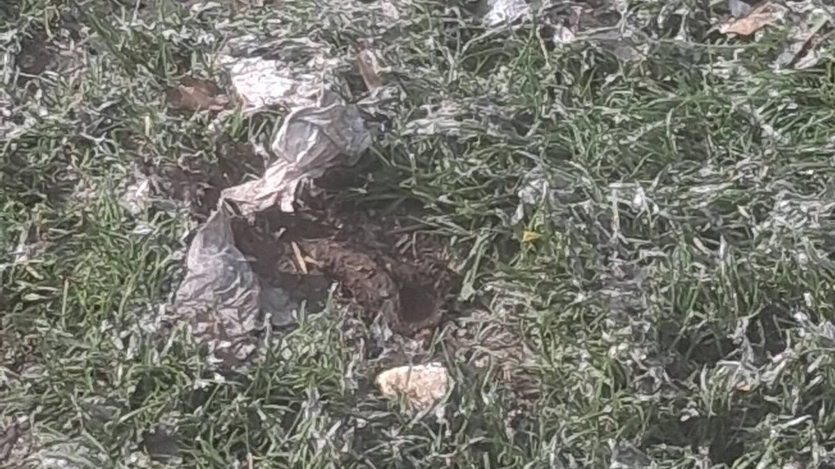 Sewage spill in housing estate is ‘rancid’