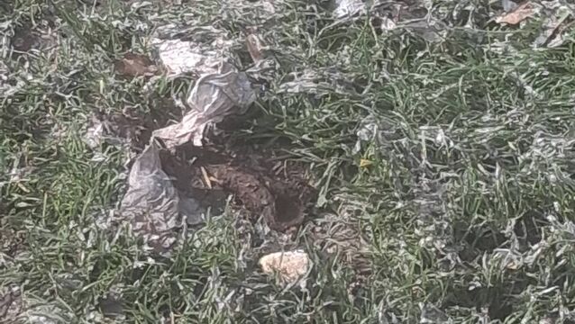 Sewage spill in housing estate is ‘rancid’